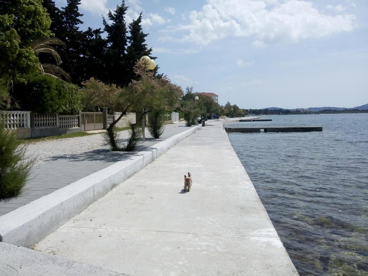 Apartments Franica Zadar Exteriör bild